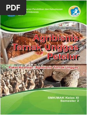 Agribisnis Ternak Unggas Petelur Smstr 2 Pdf Pdf