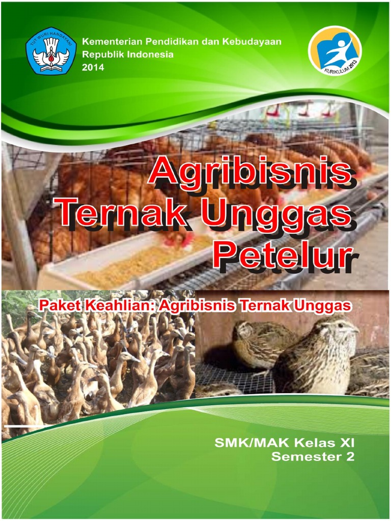 Agribisnis Ternak Unggas Petelur Smstr 2 Pdf Pdf