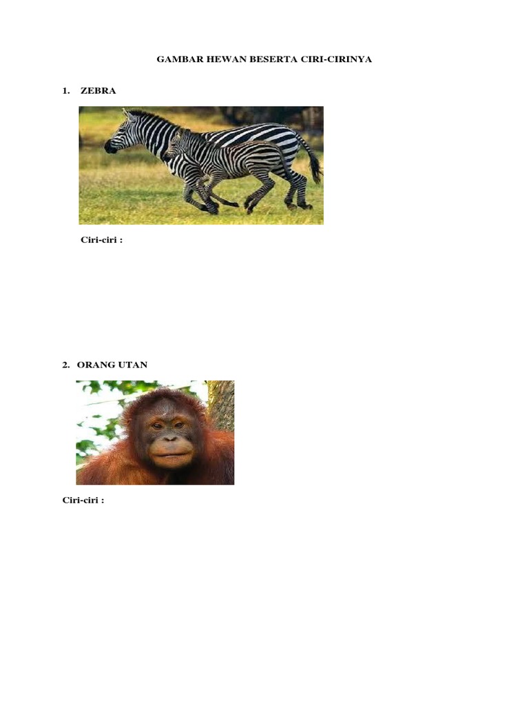 9000 Koleksi Gambar Hewan Beserta Ciri Cirinya HD Terbaik
