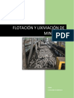 FLOTACIÓN DE MINERALES.docx