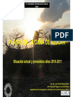 Plagas de La Caña de Azúcar PDF