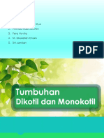 Tumbuhan Dikotil Monokotil