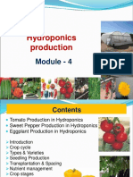 Session 4-Tomato, SPepper, Brinjal PDF