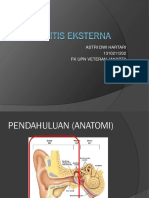 Otitis Eksterna