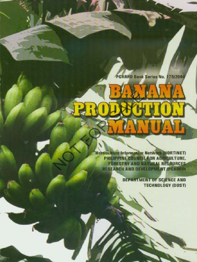 Banana Production Manual PDF PDF Banana Soil