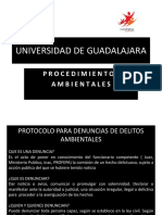 Exposicion Ambiental Para Viernes Ok