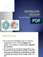  Respiración Celular