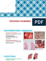 2da Teoria Patologia Pulmonar
