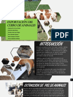 Exportación Del Cuero de Animales