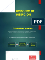 Periodonto de Insercion