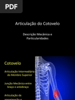 Cinesiologia - Cotovelo 1