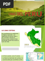 Ecosistema Pacal | PDF | Entorno natural | Ciencias de la Tierra