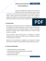 PLAN DE DESARROLLO.docx