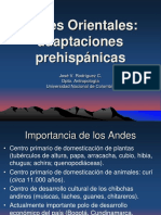 Andes Orientales PDF