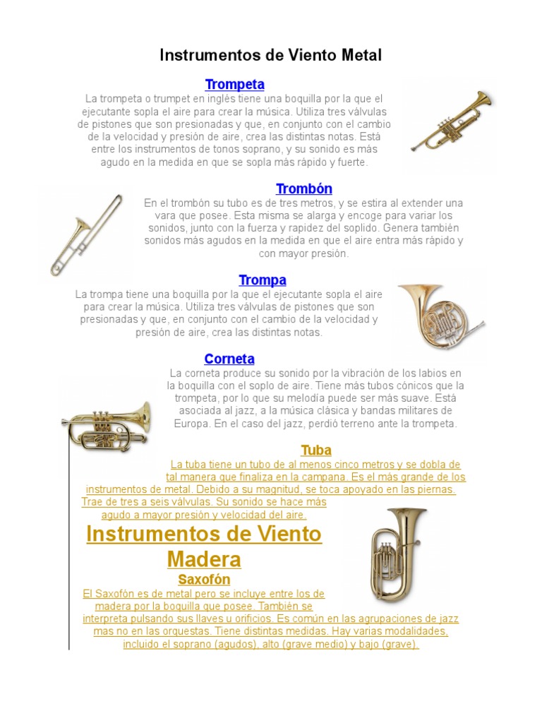 Instrumentos de Viento Metal | PDF | Clarinete | Flauta