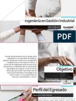 Campaña Publicitaria de Ing. Gestion Industrial