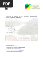 Informe CFG Movimientos Medioambientales