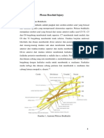 Plexus Brachial Injury