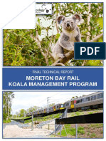 Moreton Bay Koala Report PDF