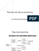 neuroanatomia revisao.pdf