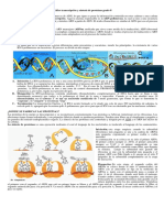 Talle Transcripsion