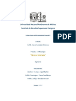 Practica-3-micologia (1)