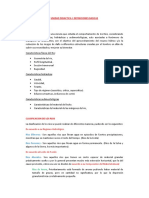 DEFINICIONES BASICAS.pdf