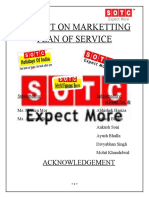 Project Report On Marketing Planning Strategy by Sotc