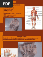ANATOMIA E FISIOLOGIA HUMANA Aula introdução.ppt