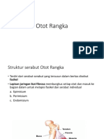 Otot Rangka