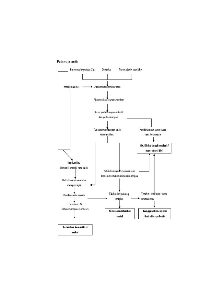 Pathway Autisme | PDF