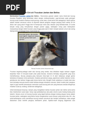 Membedekan Jenis Kelamin Trucuk