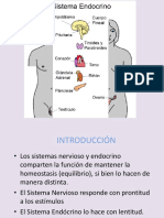 Sistema Endocrino