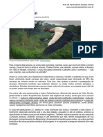 Urubusbrasileiros PDF