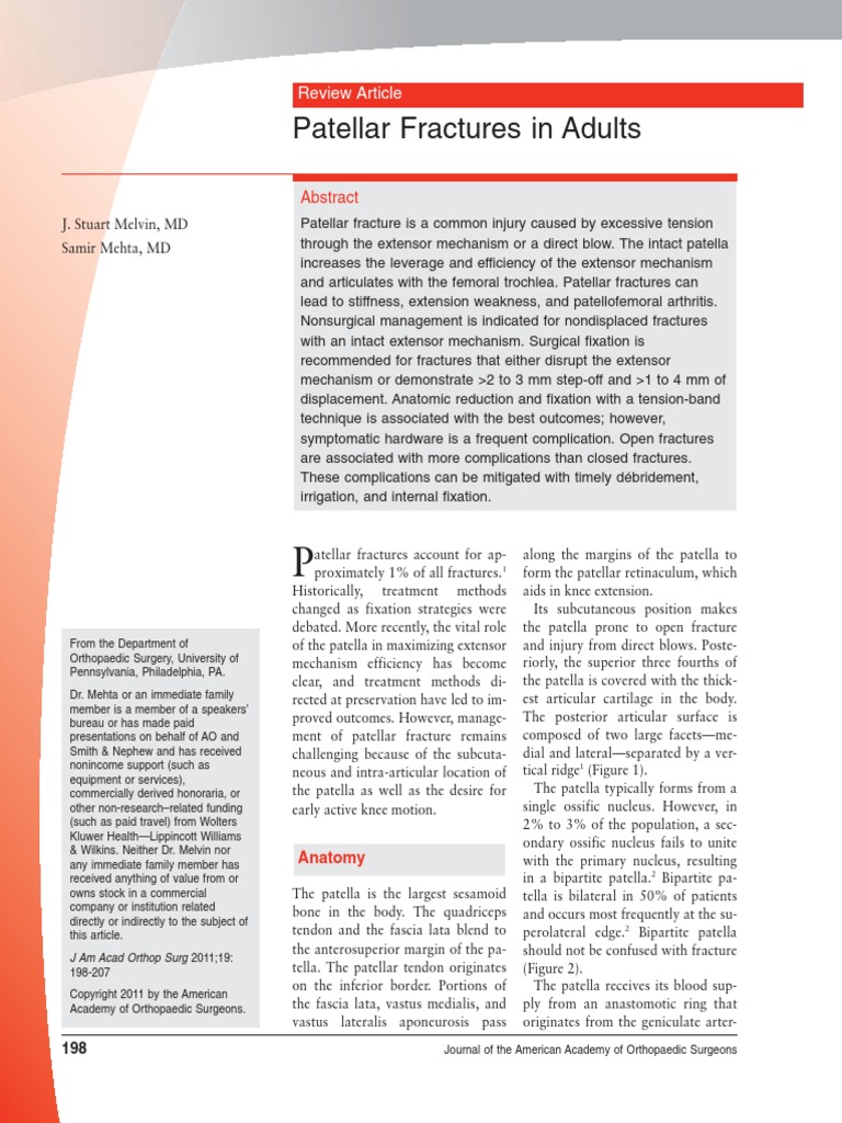 278a PDF | PDF | Knee | Musculoskeletal System
