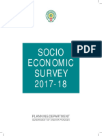 Socio Economical Survey  2017-18.pdf