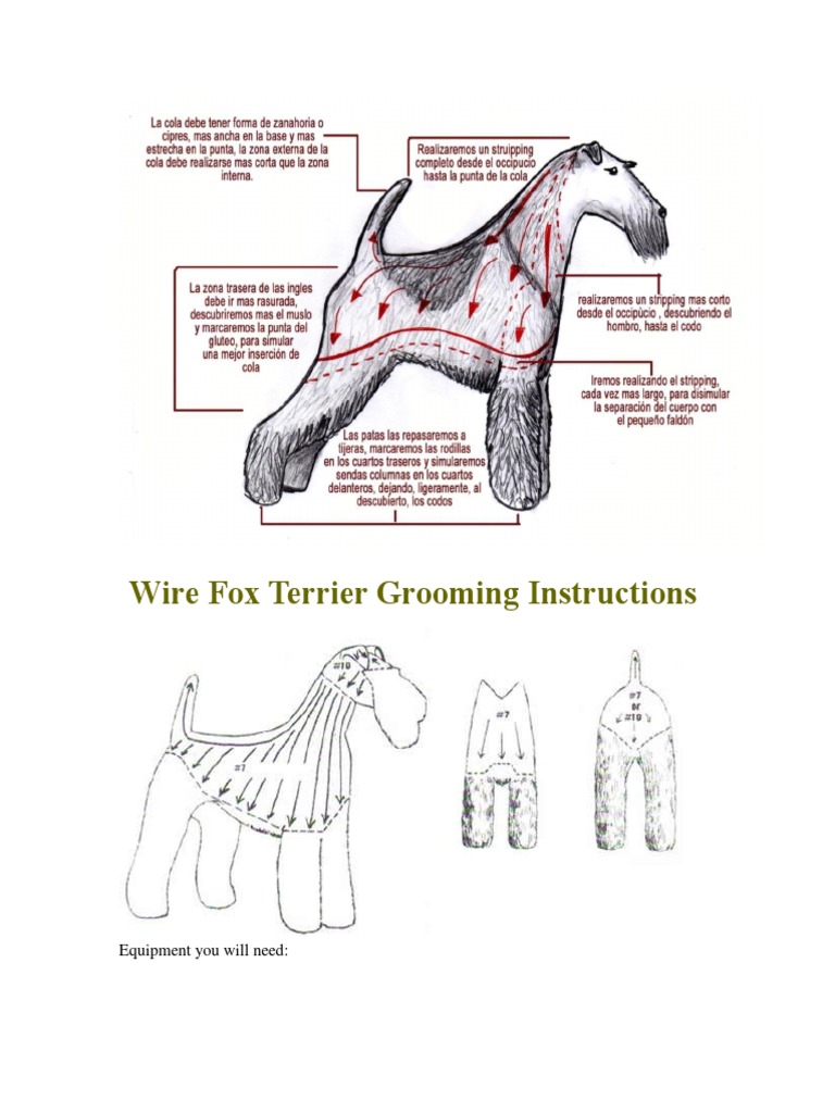 Wire Fox Terrier Grooming Instructions PDF Scissors Eyebrow