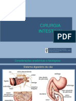 Cirurgia de intestino.pdf
