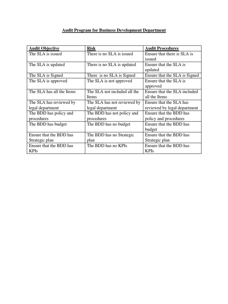 Business Development Audit Program | PDF