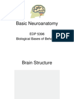 Basic Neuroanatomy: EDP 5396 Biological Bases of Behavior