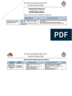 Programación Curricular 2018-I (CI)LUCHO.docx