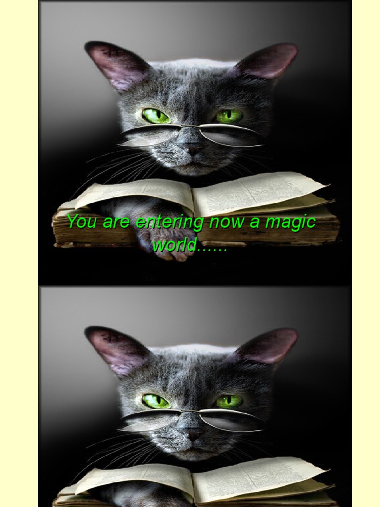 The Magic Cat Eye