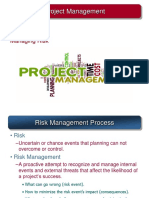 Project Management: Managing Risk