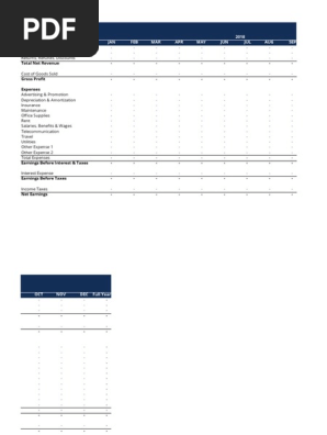 Profit and Loss Statement