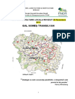 Strategia de Dezvoltare Locala Revizuita 05 Noiembrie 20131 PDF