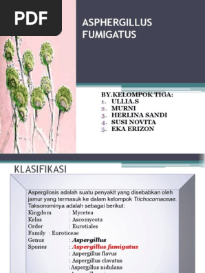 Aspergilus Pdf