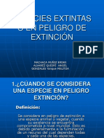 Ecología Extinción