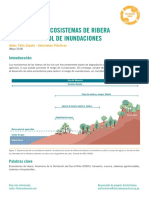 El Rol de Los Ecosistemas de Ribera para El Control de Inundaciones - Soluciones Practicas 2018 PDF