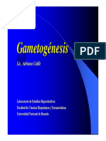 Gametogenesis_2005.pdf