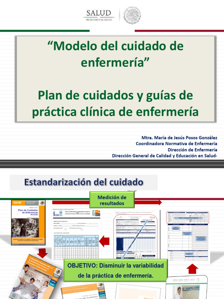 Platica General Modelo Del Cuidado | PDF | Enfermería | Ciencias de la Salud